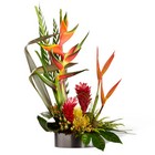 The FTD Island Breeze Arrangement from Victor Mathis Florist in Louisville, KY